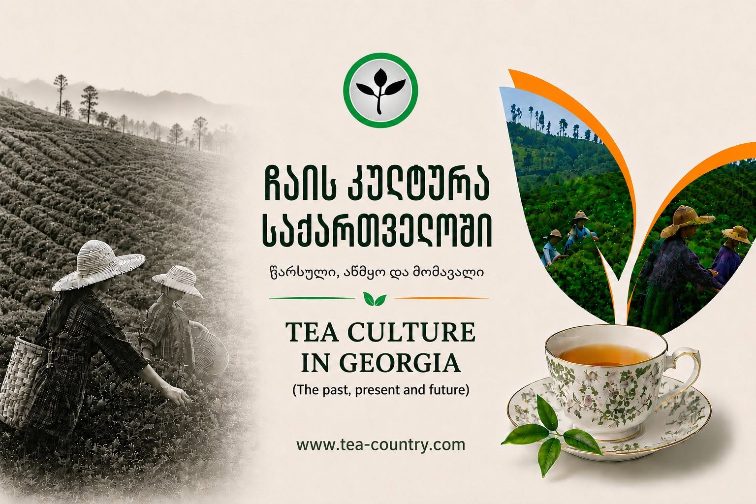 Tea culture in Georgia - Past, present, future