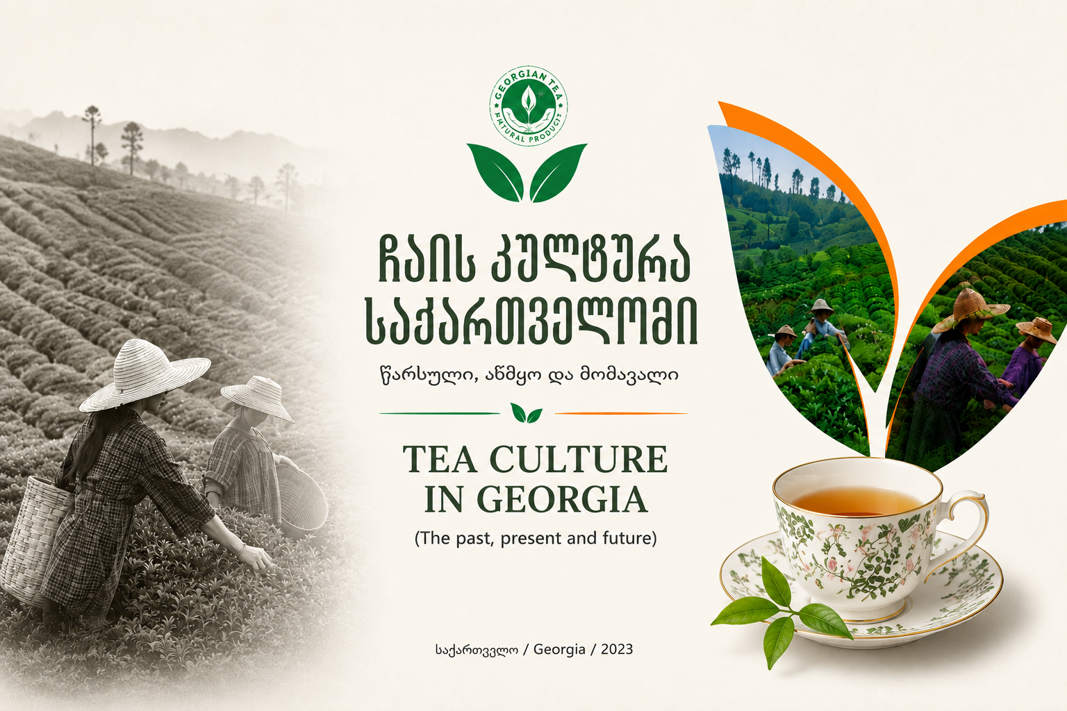 Tea culture in Georgia - (The past, present and future)