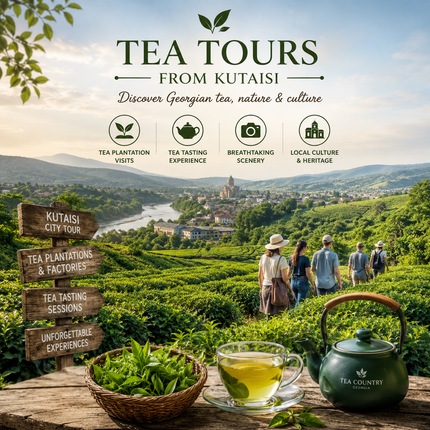 Collection image for: Tea Tours from Kutaisi for Memorable Experiences
