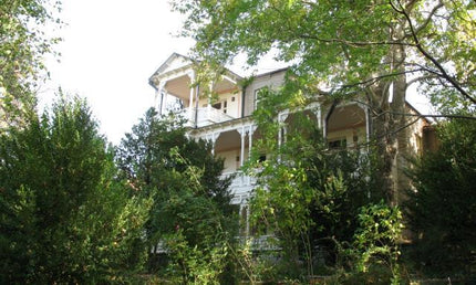 Museum Of Ilia Chavchavadze - Tea Country