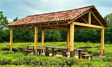 Gezruli Tea Cultural Tour