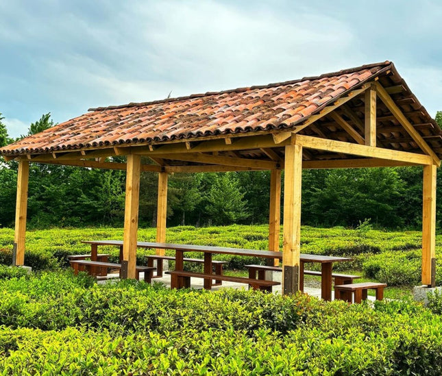 Gezruli Tea Cultural Tour