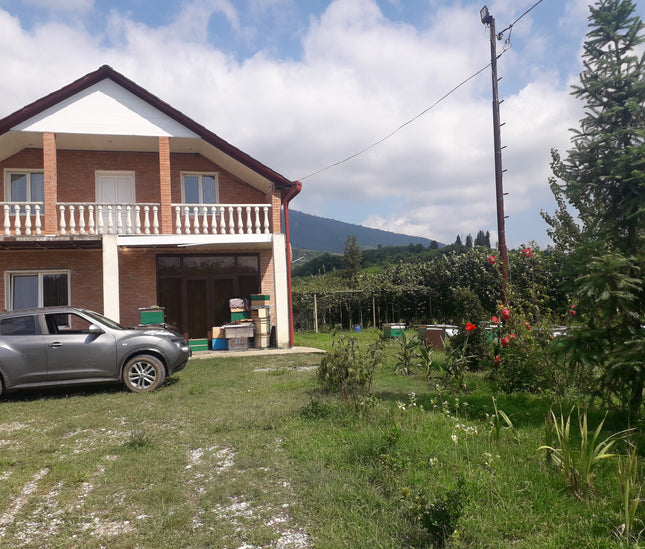 Margalona Tea Cultural Tour