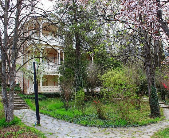 Museum Of Ilia Chavchavadze - Tea Country