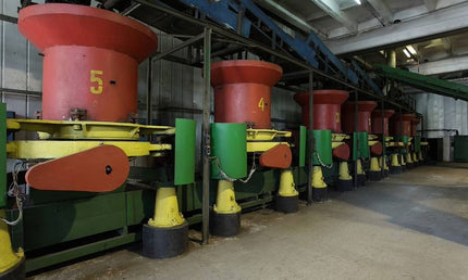Anaseuli tea factory | Anaseuli tea tour | Soviet tea Factory | Tea tour in Ozurgeti | Tea tour in Guria | 