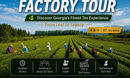 Anaseuli tea factory tour