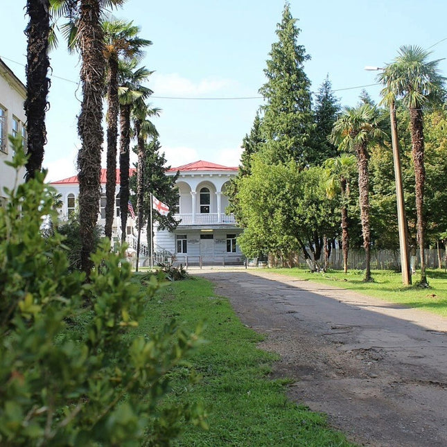 Anaseuli Tea Institute | Tea Tour in Anaseuli | Tea tour in Georgia | Tea in Ozurgeti | Gurian tea | Tea University in Georgia | Tea Country | Tea Tour Online Booking | Vacation in Georgia | Organic Tea | Anaseuli | Taba Tea Estate | Tours in Guria | What to Do in Georgia | Things to Do in Gorgia | Travel in Georgia | Places to Taste Tea | Tea Tasting in Ozurgeti | Gurian Tours | Ozurgeti tea | Where to Go for Tea | Tea culture | Tea Cultural Route in Georgia |
