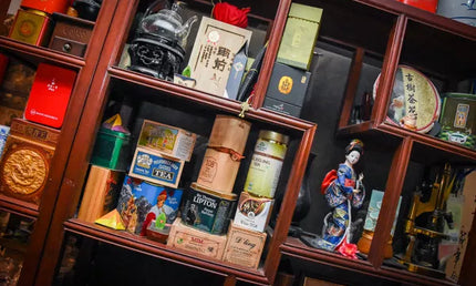 Georgian Tea museum