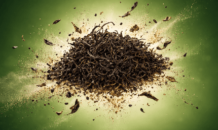 Buetea black tea - Tea Country - Buetea  tea | Georgian black tea Buetea | Tea Country | Black tea from Tkhibuli | Black tea from Imereti | BIO Buetea  tea | Bueti tea | Natural tea| შავი ჩაი ბუეთი | ტყიბულის ჩაი | ჩაი ბუეთი | ბუეთის ჩაი | ოკრიბას ჩაი ბუეთი | ჩაი იმერეთში | იმერული შავი  ჩაი | ჩაის ქვეყანა | ქართული ჩაი | Cais qveyana | qarTuli shavi Cai | Грузинский чай | Georgischer Tee | 格鲁吉亚茶 | 格魯吉亞茶 | الشاي الجورجي | Té georgiano | जॉर्जियाई चाय | Gürcü çayı | Վրացական թեյ | ジョージアのお茶 | Thé géorgie