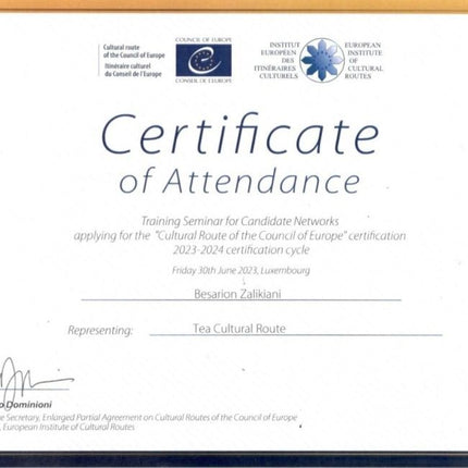 <strong>Council of Europe</strong>
