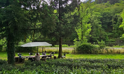 Filleule des Fées tea garden