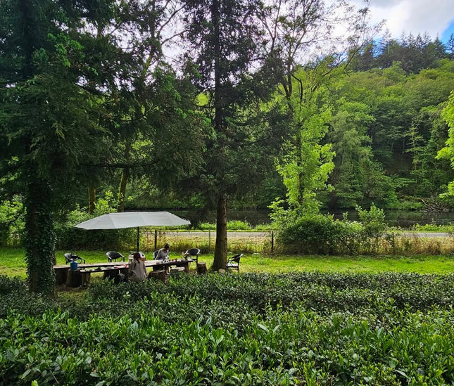 Filleule des Fées tea garden