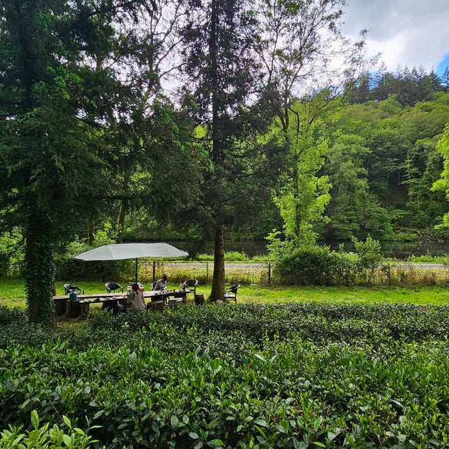 Filleule des Fées tea garden