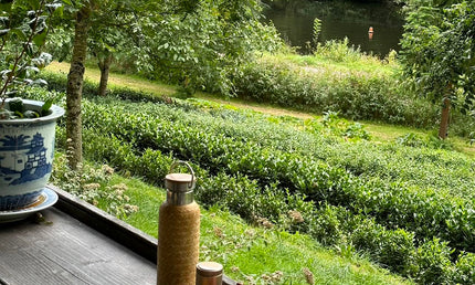 Filleule des Fées tea garden