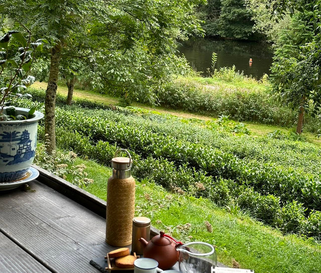 Filleule des Fées tea garden