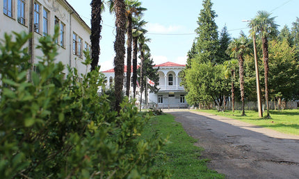 Anaseuli Institute tea tour - Tea Country