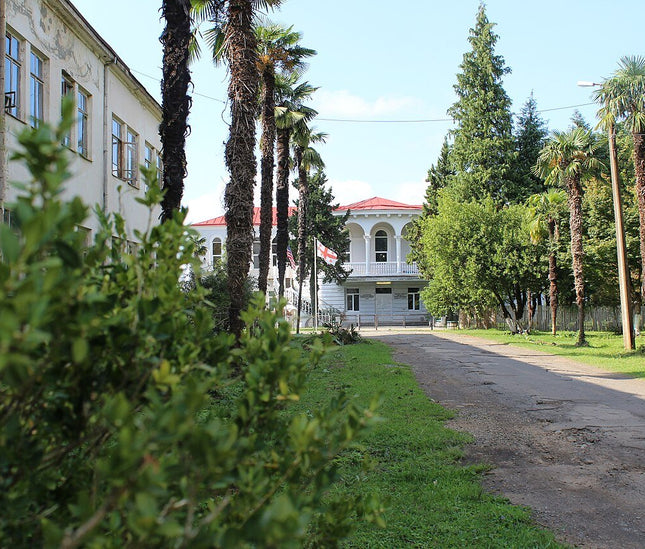 Anaseuli Institute tea tour - Tea Country