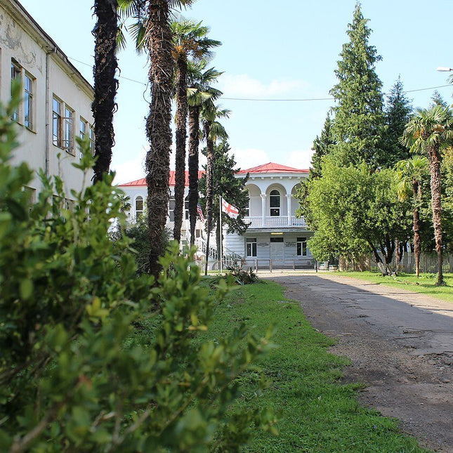 Anaseuli Institute tea tour - Tea Country