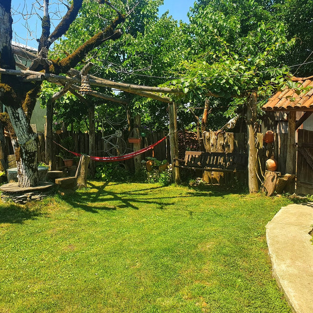 Gezruli tea tour