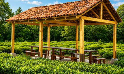 Tea tour in Gezruli | Georgian tea | Gezruli tea | Tea in Imereti| Chiatura tea | Tea Country | Book tea tour online | Georgia holiday | Georgian insider | Green field tea | organic tea | Gezruli | Taba tea estate | Tours in Georgia | what to do in Georgia | Things to do in Kutaisi | Travel Georgia | Tea place to visit | Tea tasting in Imereti |Kutaisi tour | ours in Chiatura | Where to go for tea | Tea plantation | Tea cultural route in Georgia | European tea company | Travel in nature | Tea field