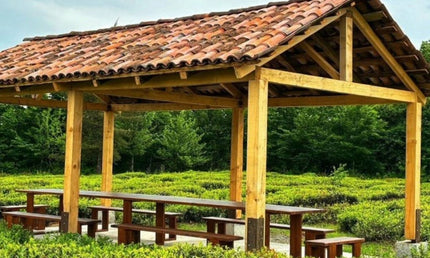 Tea tour in Gezruli | Georgian tea | Gezruli tea | Tea in Imereti| Chiatura tea | Tea Country | Book tea tour online | Georgia holiday | Georgian insider | Green field tea | organic tea | Gezruli | Taba tea estate | Tours in Georgia | what to do in Georgia | Things to do in Kutaisi | Travel Georgia | Tea place to visit | Tea tasting in Imereti |Kutaisi tour | ours in Chiatura | Where to go for tea | Tea plantation | Tea cultural route in Georgia | European tea company | Travel in nature | Tea field