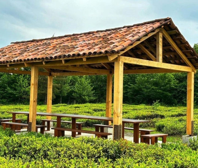 Tea tour in Gezruli | Georgian tea | Gezruli tea | Tea in Imereti| Chiatura tea | Tea Country | Book tea tour online | Georgia holiday | Georgian insider | Green field tea | organic tea | Gezruli | Taba tea estate | Tours in Georgia | what to do in Georgia | Things to do in Kutaisi | Travel Georgia | Tea place to visit | Tea tasting in Imereti |Kutaisi tour | ours in Chiatura | Where to go for tea | Tea plantation | Tea cultural route in Georgia | European tea company | Travel in nature | Tea field