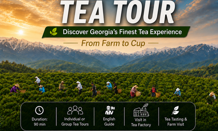 Green gold tea tour | Tea tour in Ozurgeti | Georgian tea | Gurian tea | Tea in Guria | Tea Country | Book tea tour online | Georgian holiday | Green field tea | organic tea | Green gold | Taba tea estate | Tours in Georgia | what to do in Georgia | Things to do in Ozurgeti | Travel Georgia | 