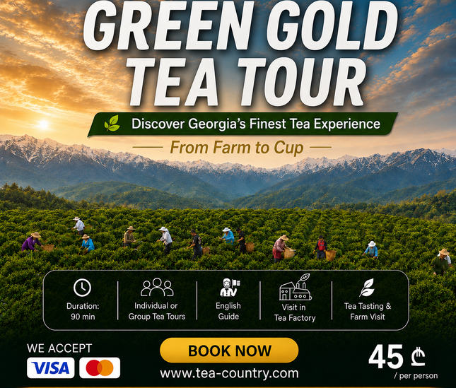 Green gold tea tour | Tea tour in Ozurgeti | Georgian tea | Gurian tea | Tea in Guria | Tea Country | Book tea tour online | Georgian holiday | Green field tea | organic tea | Green gold | Taba tea estate | Tours in Georgia | what to do in Georgia | Things to do in Ozurgeti | Travel Georgia | 