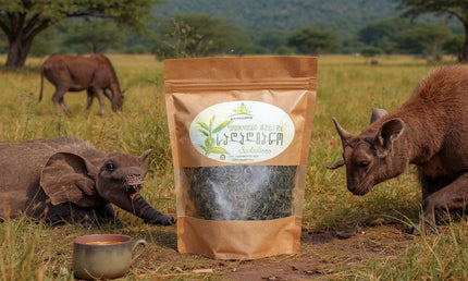 Sadadiano green tea from Georgia
