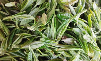 Georgian white tea Anditri