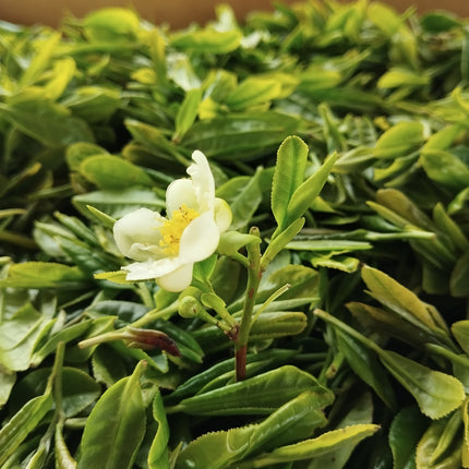 Collection image for: All tea