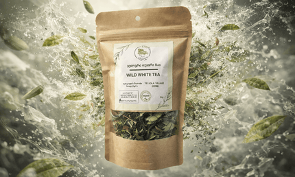 Georgian white tea Terjola | Tea Country | Terjola tea | white tea from Georgia | Georgian white tea | Organic white tea | white tea from Imereti | თეთრი ჩაი | თერჯოლის ჩაი | იმერული თეთრი ჩაი | ჩაის ქვეყანა | Cais qveyana | qarTuli Cai | chai | ჩაი თერჯოლა | Грузинский чай | Georgischer Tee | 格鲁吉亚茶 | 格魯吉亞茶 | الشاي الجورجي | Té georgiano | जॉर्जियाई चाय | Gürcü çayı | Վրացական թեյ | ジョージアのお茶 | Tè georgiano |