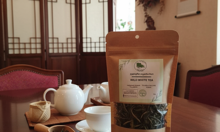 elizabeth arden white tea​
