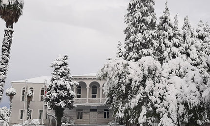 Anaseuli Institute tea tour - Tea Country