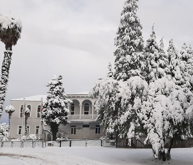 Anaseuli Institute tea tour - Tea Country