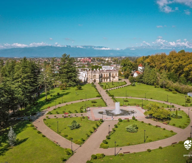 Dadiani Palace tea tour - Tea Country