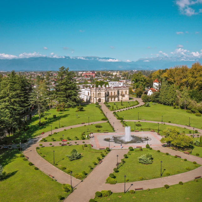 Dadiani Palace tea tour - Tea Country