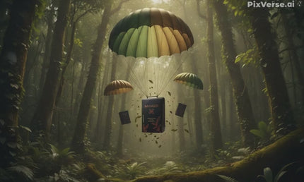 Mamati black tea | Black tea Mamati | Georgian Black tea | Mamati from Guria | Black tea from guria | Mamatea tea | შავი ჩაი მამათი | ჩაი მამათი |  ქართული ჩაი |  შავი ჩაი |  Savi Cai | qartuli Cai | Cai Mamati | guruli Cai | Tea Country | ჩაის ქვეყანა |  Cais qveyana | Грузинский чай | Georgischer Tee | 格鲁吉亚茶 | 格魯吉亞茶 | الشاي الجورجي | Té georgiano | जॉर्जियाई चाय | Gürcü çayı | Վրացական թեյ | ジョージアのお茶 | Tè georgiano | Thé géorgien