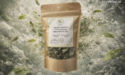 Georgian white tea Terjola | Tea Country | Terjola tea | white tea from Georgia | Georgian white tea | Organic white tea | white tea from Imereti | თეთრი ჩაი | თერჯოლის ჩაი | იმერული თეთრი ჩაი | ჩაის ქვეყანა | Cais qveyana | qarTuli Cai | chai | ჩაი თერჯოლა | Грузинский чай | Georgischer Tee | 格鲁吉亚茶 | 格魯吉亞茶 | الشاي الجورجي | Té georgiano | जॉर्जियाई चाय | Gürcü çayı | Վրացական թեյ | ジョージアのお茶 | Tè georgiano |