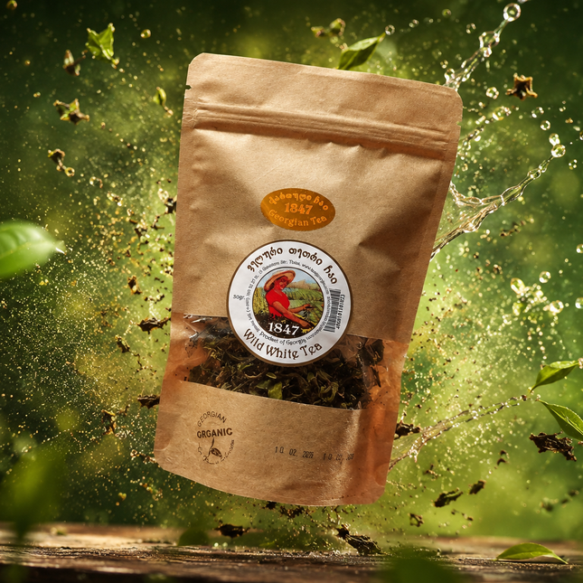 Wild white tea Terjola | Georgian tea 1847 | Terjola white tea | თერჯოლის თეთრი ჩაი | ქართული ჩაი 1847 |