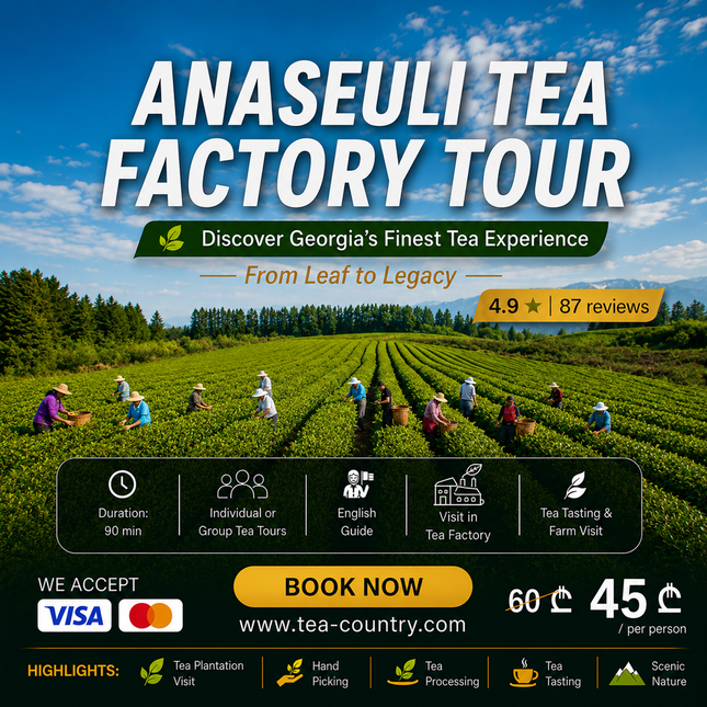Anaseuli tea factory tour