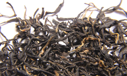 Wild black tea Terjola