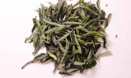 Wild white tea Terjola
