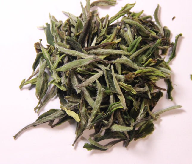 Wild white tea Terjola