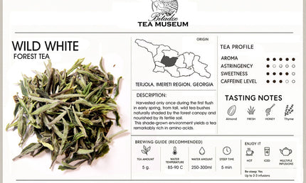 Wild white tea Terjola