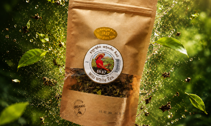 Georgian White Tea Experience | Terjola white tea | Terjola Delicate and Refreshing White Tea | White tea benefits | Best white tea | White tea online | Tea Country |
Premium loose leaf tea | Luxury tea gift | Tea for wellness | Antioxidant rich tea | Fine tea collection | Specialty tea selection | Bitadze tea | Gorgian tea 1847 | Tea Coutry |