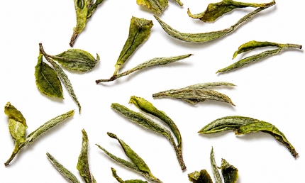 Дикий белый чай | Чай из Тержолы | Грузинский белый чай | Специальный белый чай | Белый чай ручной сборки | Белый чай ручной работы | Чайные листья | Белый чай класса люкс | Белый чай из Тержолы | Подарок для любителей чая | Опыт дегустации грузинского белого чая | Нежный и освежающий белый чай | Польза белого чая | Лучший белый чай | Белый чай онлайн |
Премиальный листовой чай | Роскошный чайный подарок | Чай для здоровья | Чай, богатый антиоксидантами | Коллекция изысканных чаев | Выбор специального чая