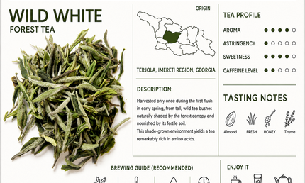 Wild White Tea | Georgian White Tea | Specialty White Tea | Handpicked White Tea | Artisan White Tea | White Tea Leaves | Luxury White Tea |  White Tea from Terjola | Tea lovers gift